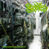 Synesthetic Dislocation