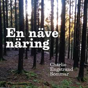 En Näve Näring
