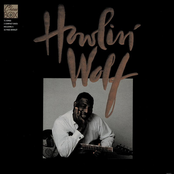 Killing Floor (1964 Single Version) by Howlin' Wolf