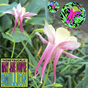 9Million: Honeysuckle