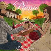 Picnic