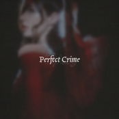 Perfect Crime