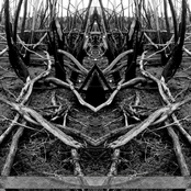 Distortion and dissonance: Australian hardcore sampler