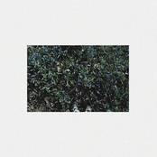 Lonely Boy with a Toy Ukulele