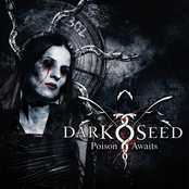 A Dual Pact by Darkseed