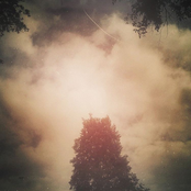 O n o m a t o p e i a