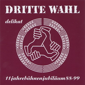 Hass & Liebe by Dritte Wahl