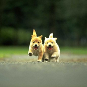 PrettyBoiClique - Mix