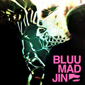 BLUUMADJIN