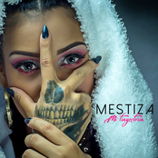 Mestiza: Mi Trayectoria