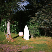 Going Back With My Friends