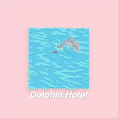 Dolphin Hotel