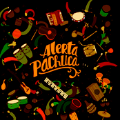 Ella Me Enamoro by Alerta Pachuca