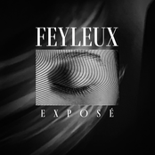 Feyleux: Exposé