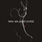Krew Sex Popyt Podaz