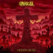 Fleshcross