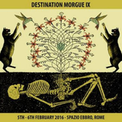 Bloodstained Misogyny