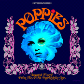 Poppies: Assorted Finery From the First Psychedelic Age