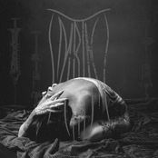 the needle in your arm