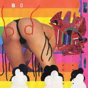 Black Dice: Broken Ear Record