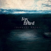 Wreck Of The Fallible by Fox And The Bird