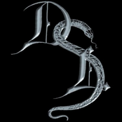 DEMO III & DEMO II