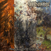 Declaration Of The Endless Wrath by Decaying Purity