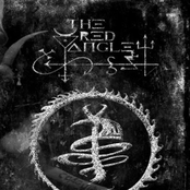 The Manifestation of the Black Light