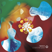 a crack in the system