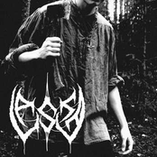 The Executioner