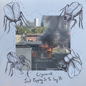 Just Popping In To Say Hi