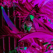 Iuseperiodblood2summondemons