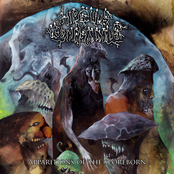 Apparitions of the Sporeborn