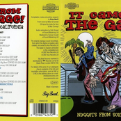 It Came From The Garage! (Nuggets From Southern California)