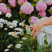 Laundry Day: Keep It Bright