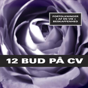 12 bud på CV