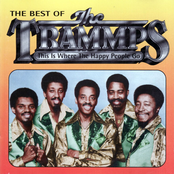 This Is Where the Happy People Go: The Best of the Trammps