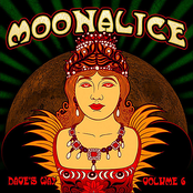 Fair To Even Odds by Moonalice