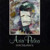 Zoicekardi a