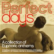 Perfect Days