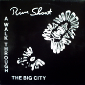 A Walk Through The Big City