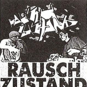 Rauschzustand