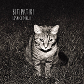 BITIPATIBI - LEŠNICI DIVLJI