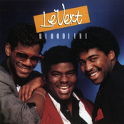 Looking For Love by Levert