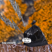 it's in the bag