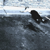 Lylas House - Single