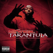 Mystikal: Tarantula