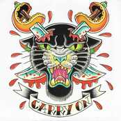 Carry On: Roll With the Punches