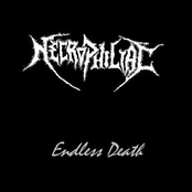 Endless Death