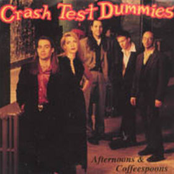 Afternoons & Coffeespoons